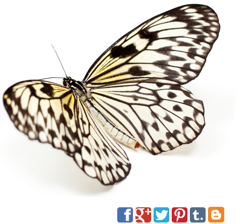 A butterfly fluttering above various social media logos.